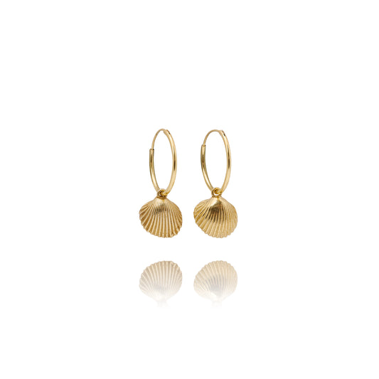 Handmade gold cockle shell earrings - Iris & Lolli