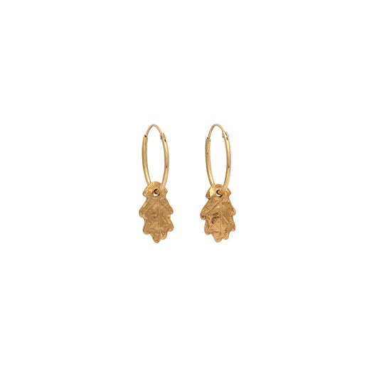 Gold Baby Oak Leaf Earrings