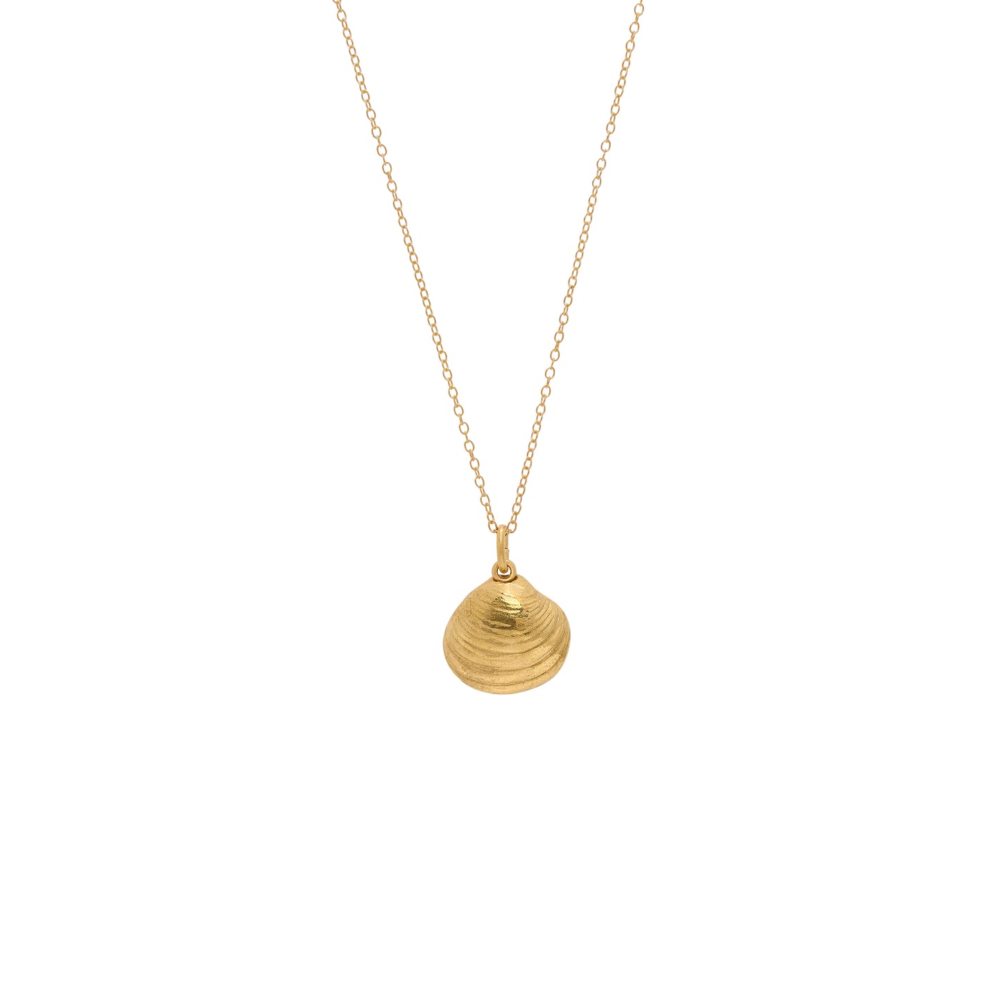 Gold Venus Clam Necklace