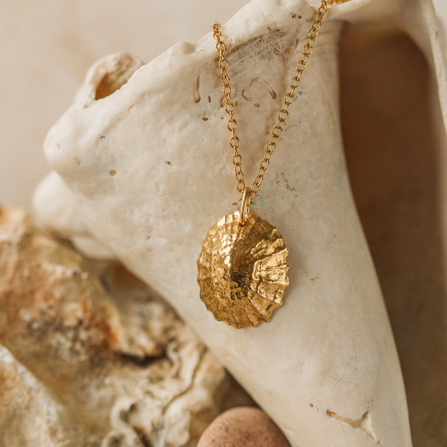 Solid Gold Statement Limpet Shell Necklace