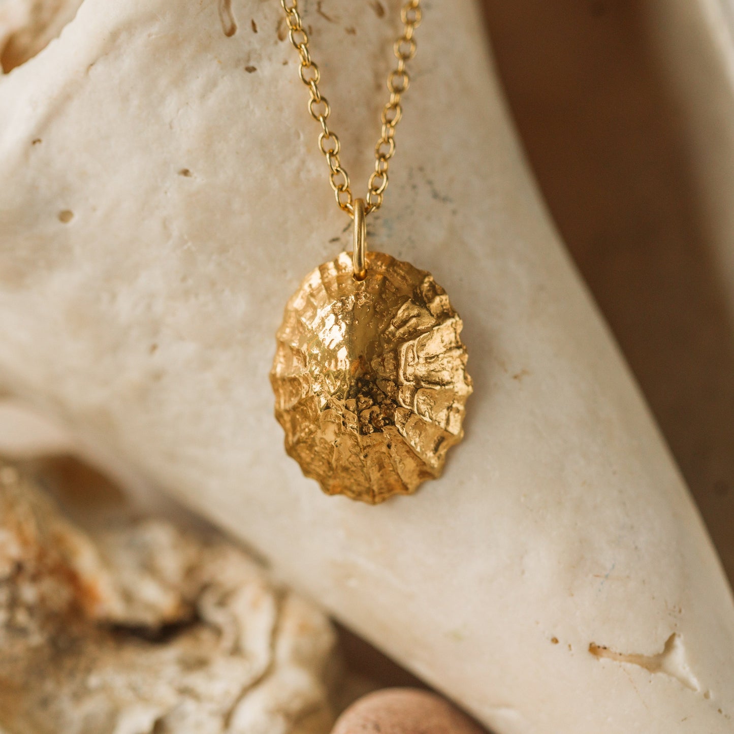 Solid Gold Statement Limpet Shell Necklace