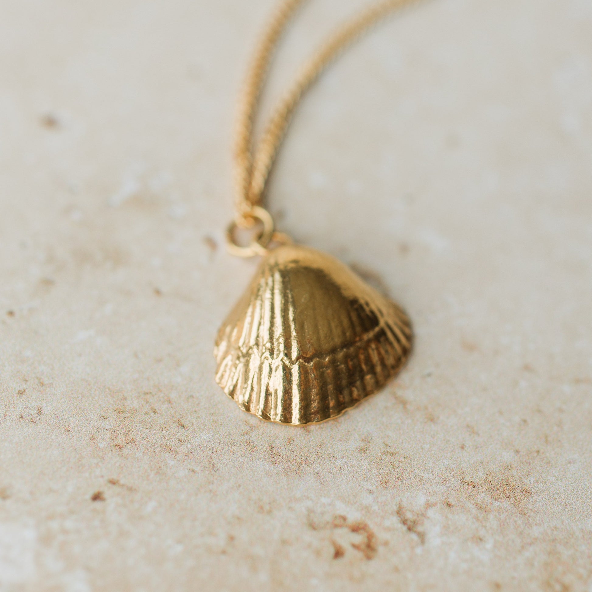 Handmade gold cockle shell necklace - Iris & Lolli