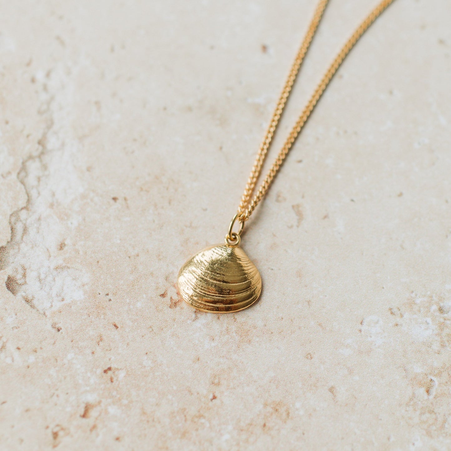 Gold Venus Clam Necklace