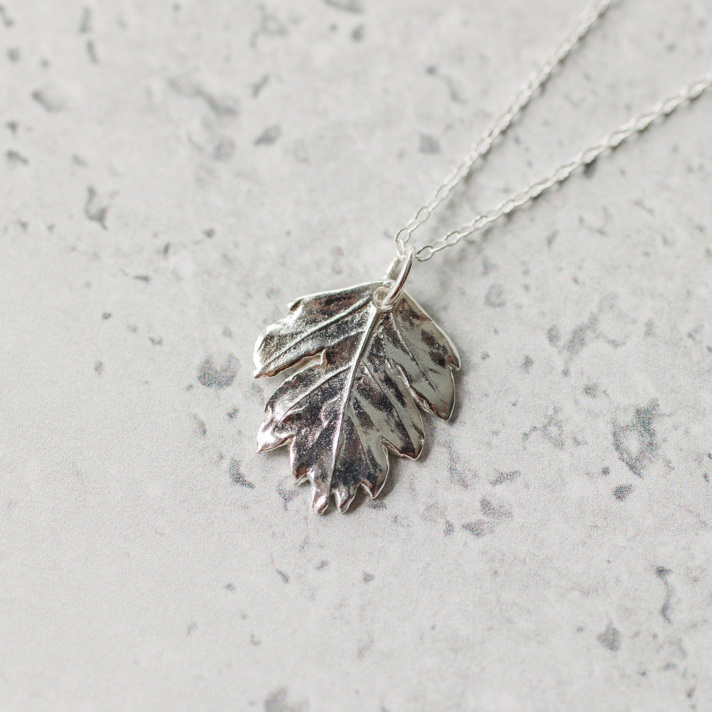 Silver Hawthorn Leaf Necklace