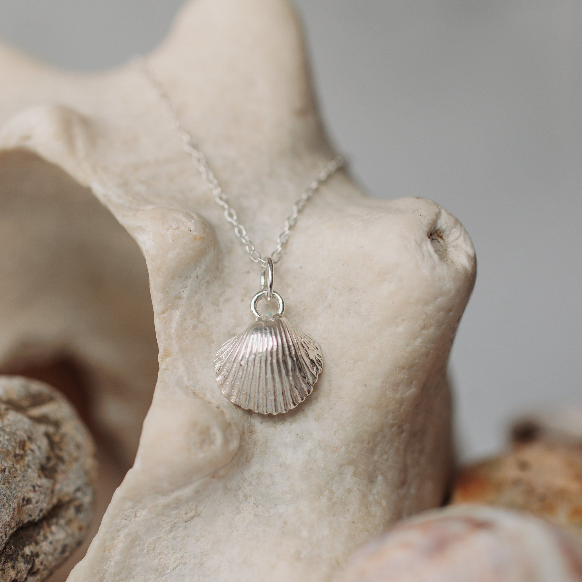 Handmade Silver Baby Cockle Shell Necklace