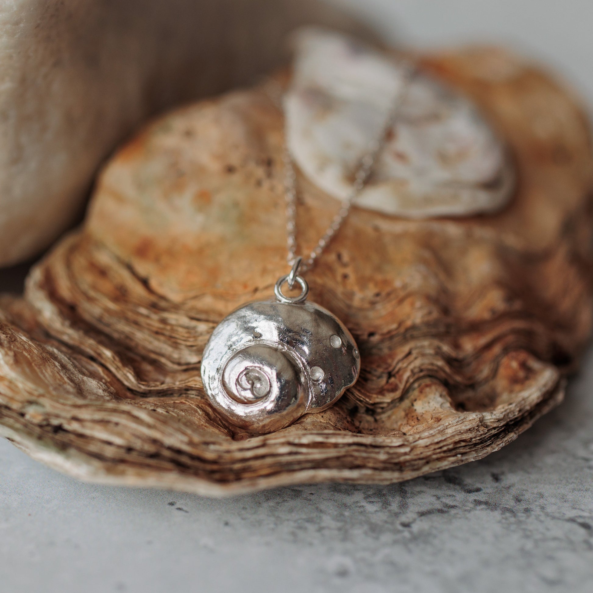 Handmade silver periwinkle shell necklace - Iris & Lolli