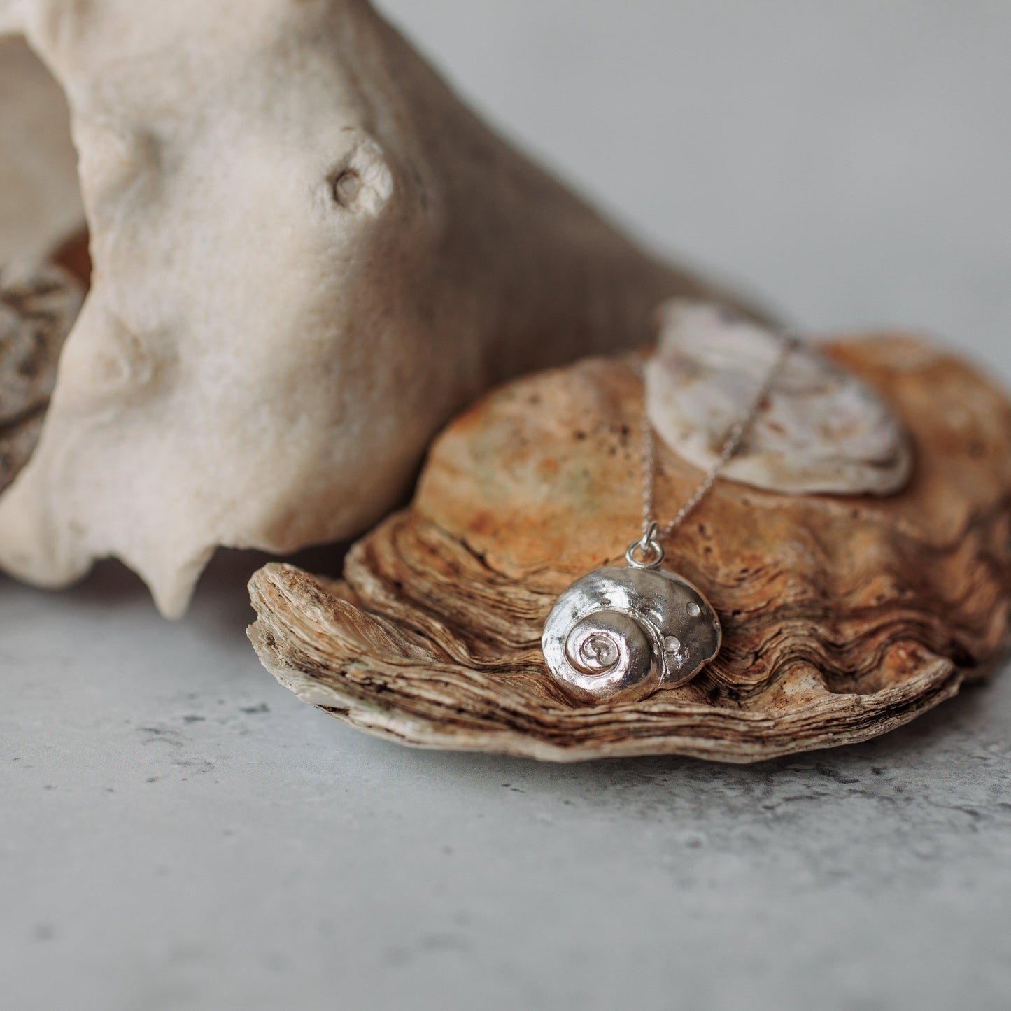 Handmade silver periwinkle shell necklace - Iris & Lolli