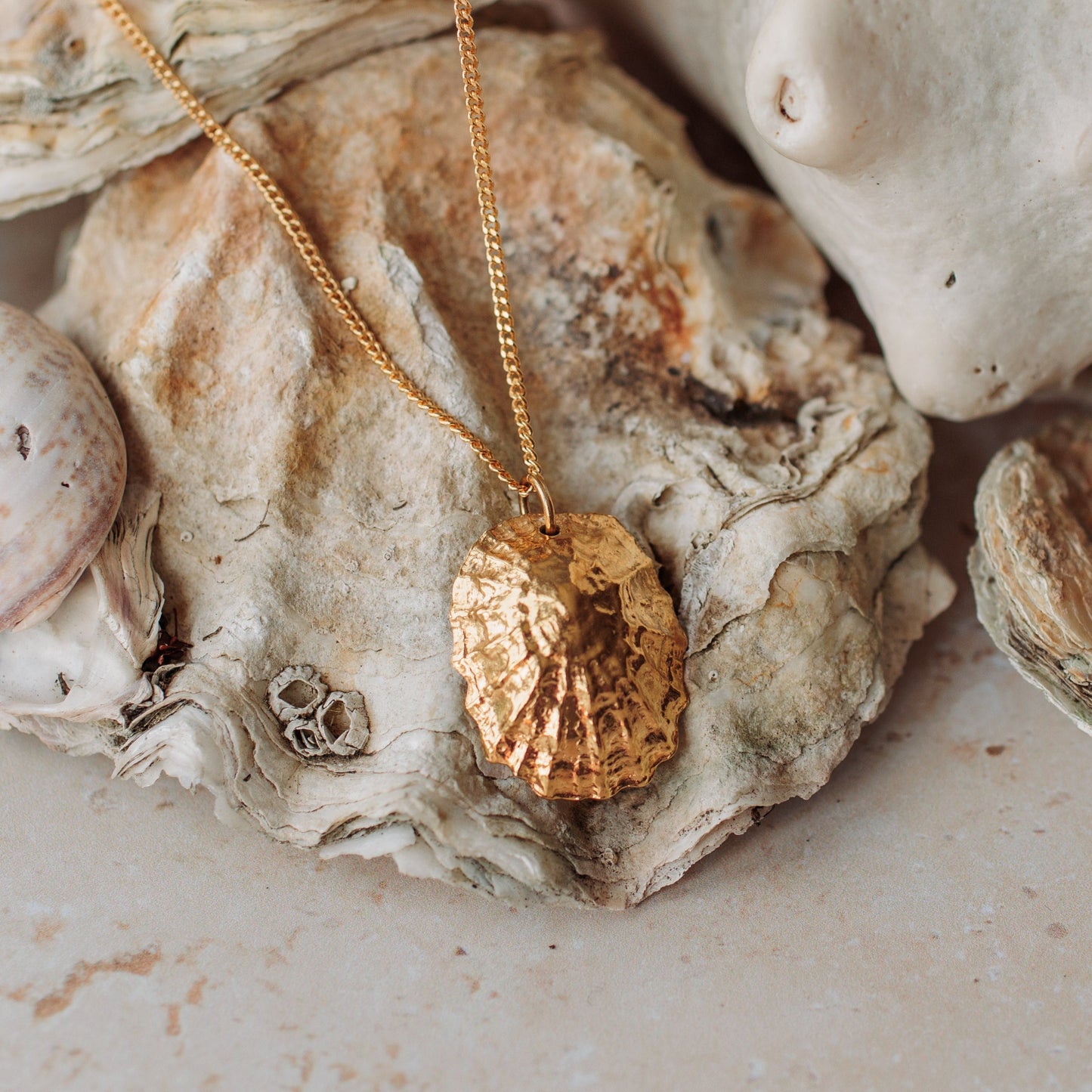 Handmade Gold Statement Limpet Shell Necklace - Iris & Lolli