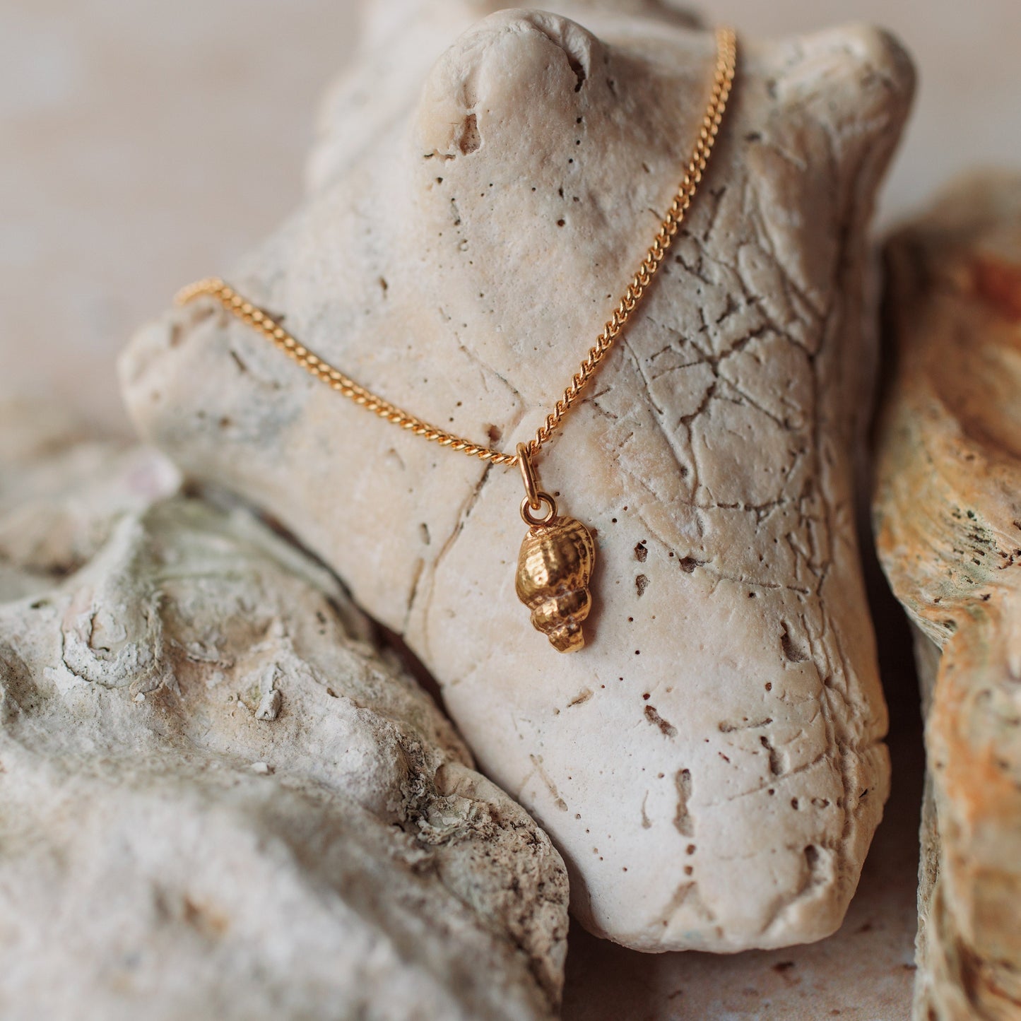 Handmade gold dainty whelk shell - Iris & Lolli