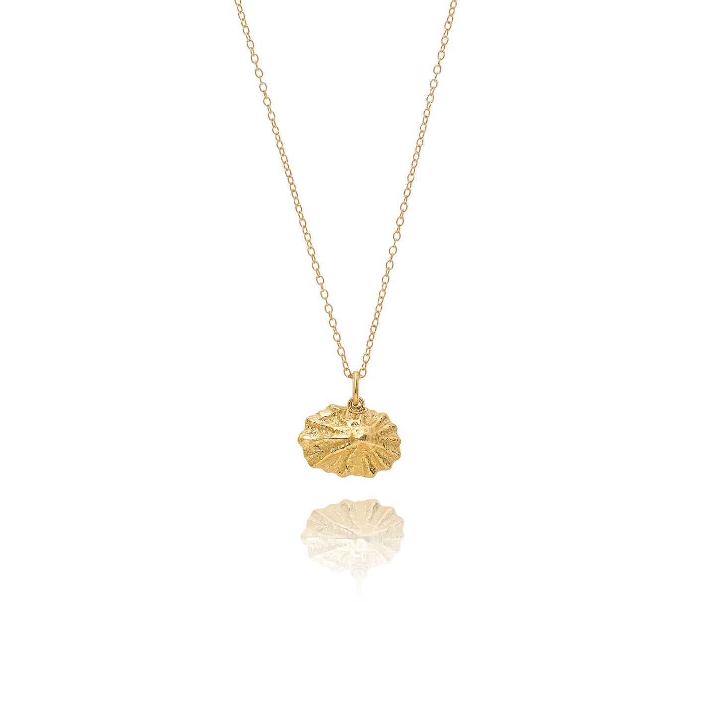 Gold Baby Limpet Shell Necklace