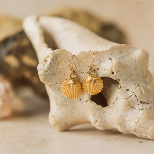 Gold Cockle Shell Earrings